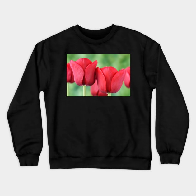 Tulip Crewneck Sweatshirt by chrisburrows